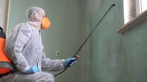 Best Biohazard Mold Removal  in Ivyland, PA